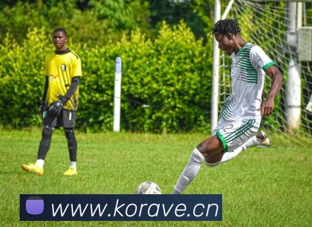 App Interface Preview